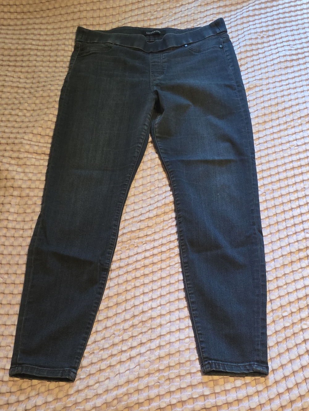 Liverpool Dark Blue Skinny Pull-On Jeans